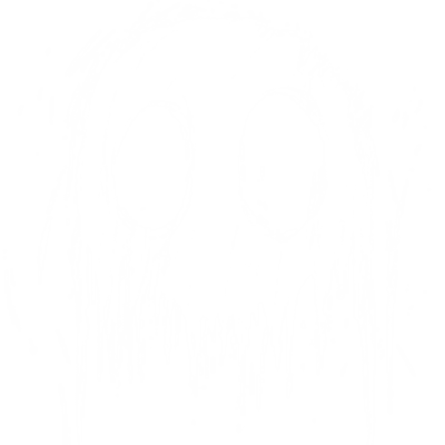 gussdx