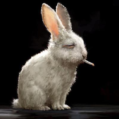 foxrabbit