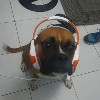 lulavlr
