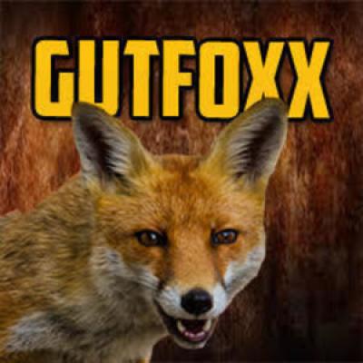 gutfoxx