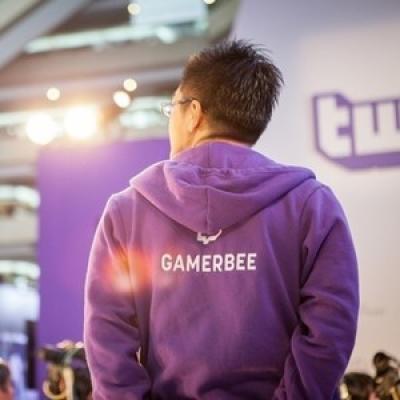 gamerbee
