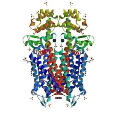 mopioid