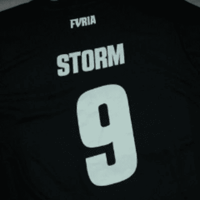 stormfgx
