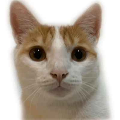 devilcatwith2cat