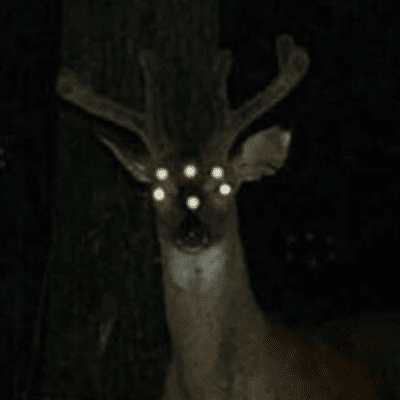 prezoh