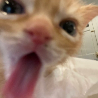 emmyuh
